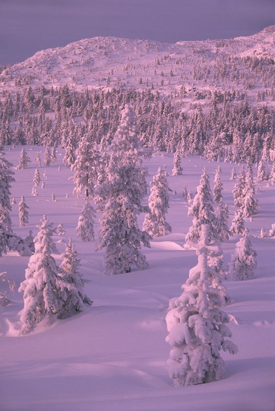 2-mountains-scenery-norway.jpg